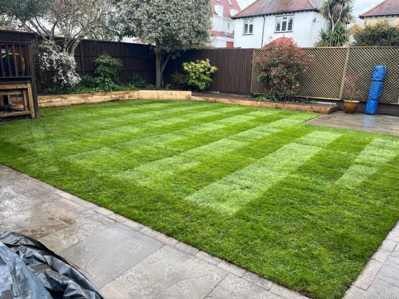 WhatsApp Image 2025-10-26 at 11.32.21