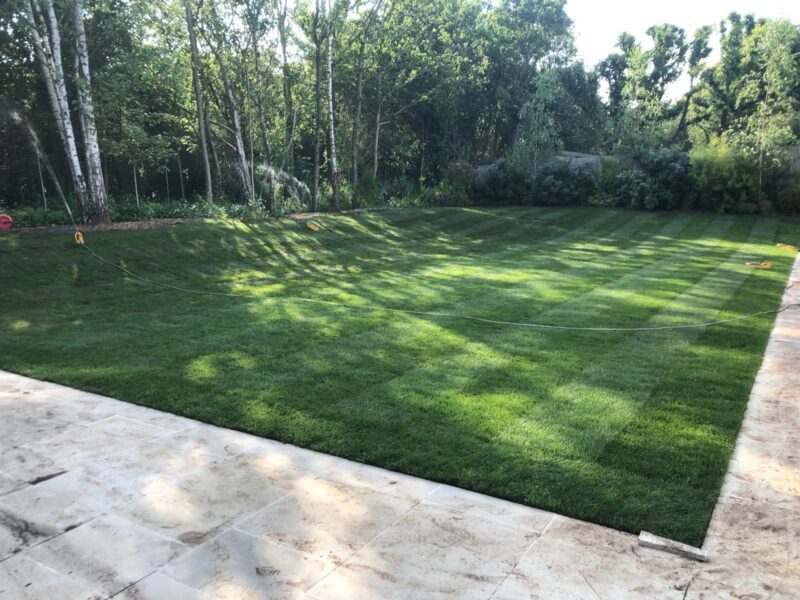 WhatsApp Image 2025-10-26 at 11.53.10 (3)